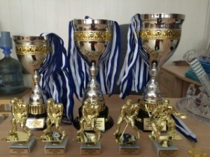 Кубок Губернии посвященный памяти детского тренера А.П.Лемзакова