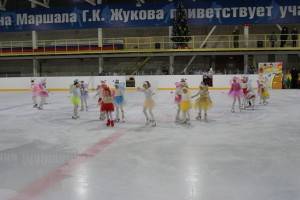27 декабря 2016 года, в ледовом дворце города Жуков состоялось театрализованное шоу на льду "Золушка"!